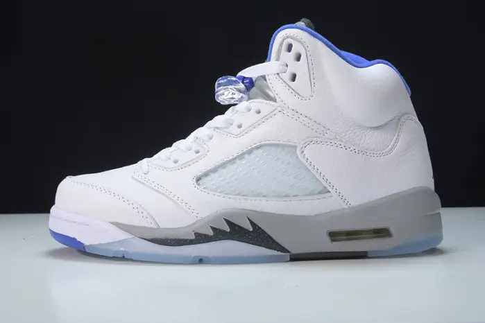 Jordan 5 Retro White Stealth (2021) 