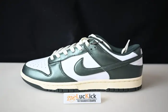 NIKE DUNK SB LOW PRO 