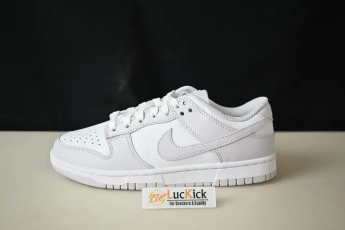 Nike Dunk Low Venice (W) 