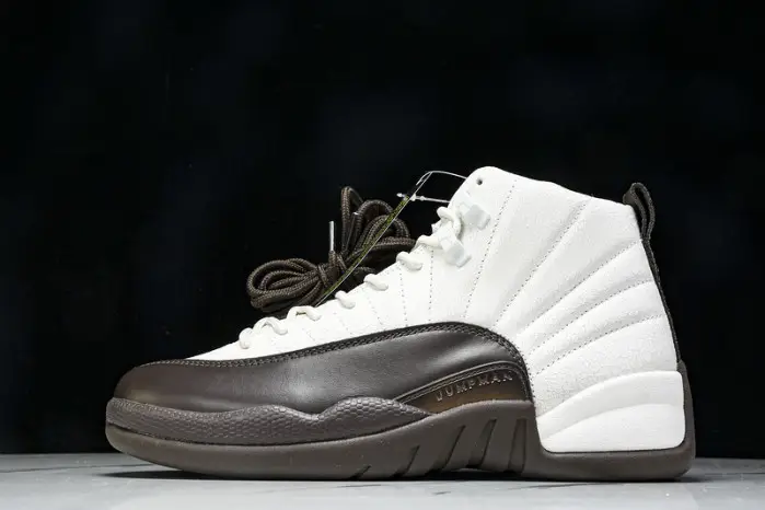 Air Jordan 12 SoleFly 