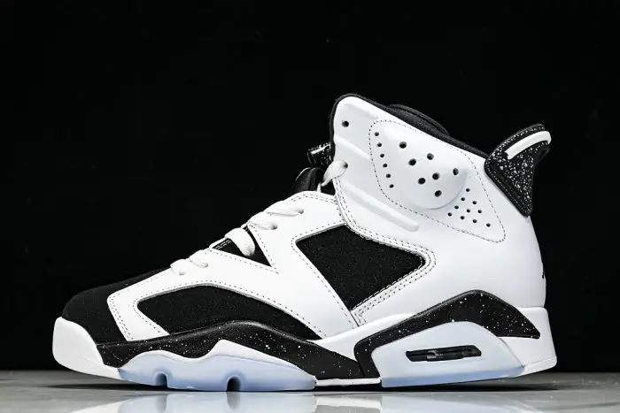 Air Jordan 6 Sport 