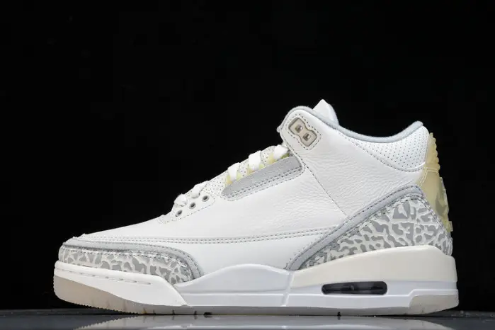 Air Jordan 3 Retro 
