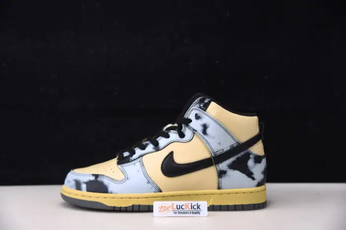Dunk High 