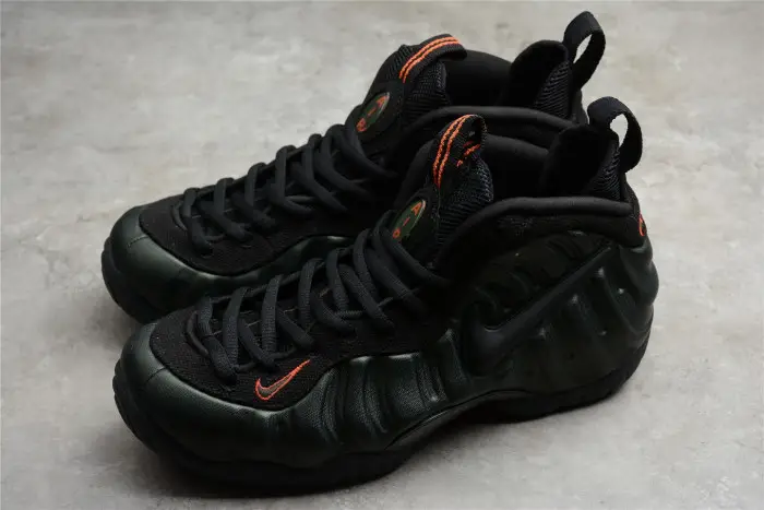Nike Air Foamposite Pro Sequoia 