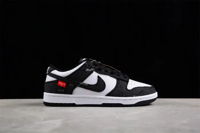 Nike SB Dunk Low 