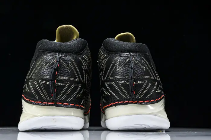 Titan x Air Jordan 23 