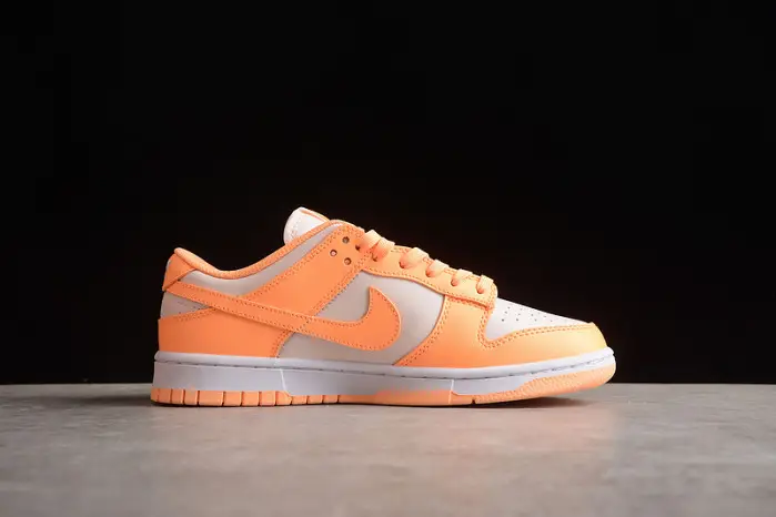 Nike SB Dunk Low 