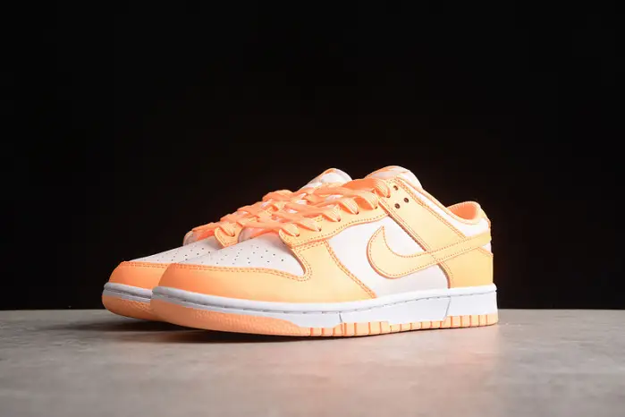 Nike SB Dunk Low 