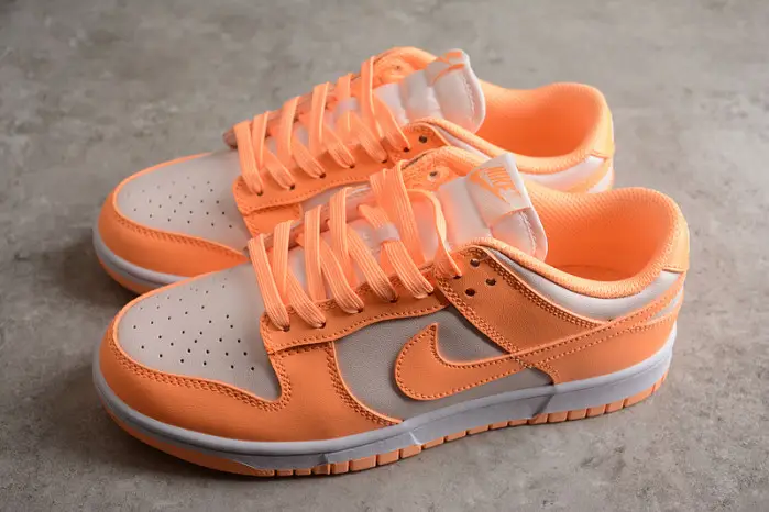 Nike SB Dunk Low 