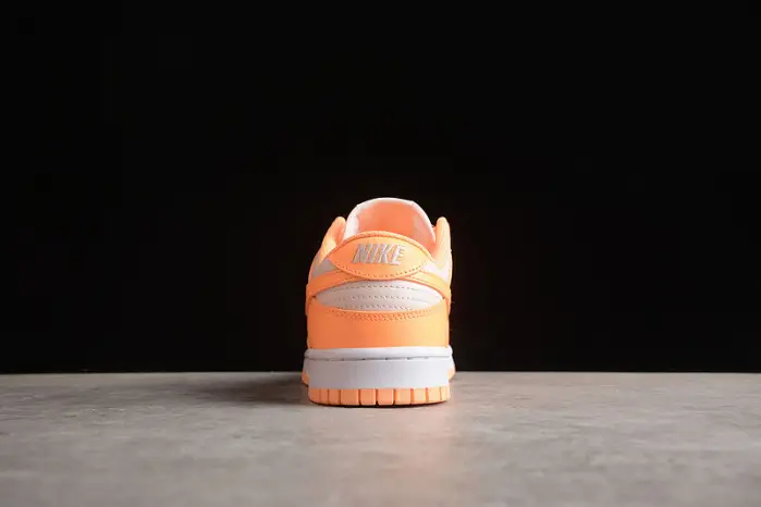 Nike SB Dunk Low 