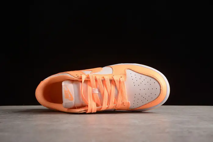 Nike SB Dunk Low 