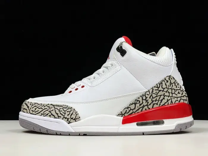 Jordan 3 Retro Hall of Fame 