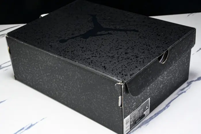 Air Jordan 4 “Black Cat”  2025 