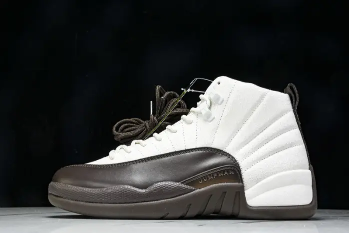 Air Jordan 12 SoleFly 