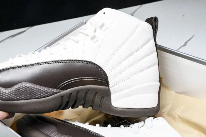 Air Jordan 12 SoleFly 