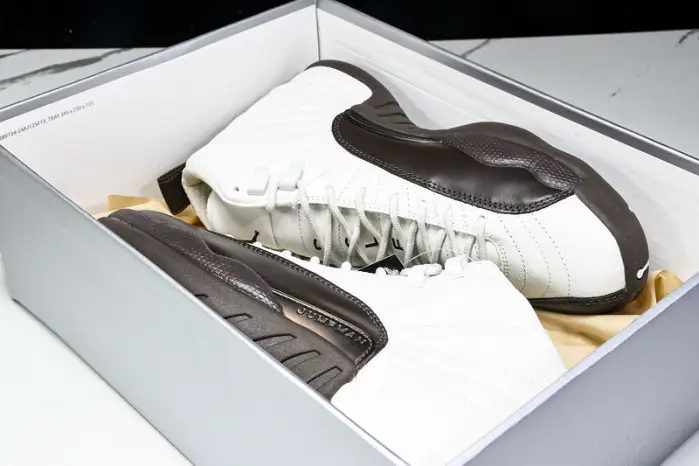 Air Jordan 12 SoleFly 