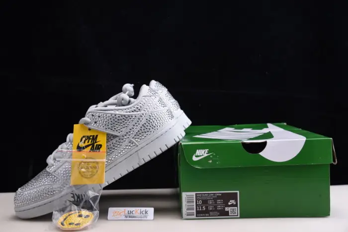 Nike Dunk Low Cactus Plant Flea Market Pure Platinum 