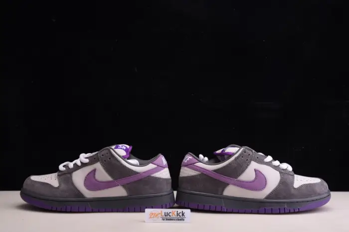 Nike Dunk SB Low Purple Pigeon 