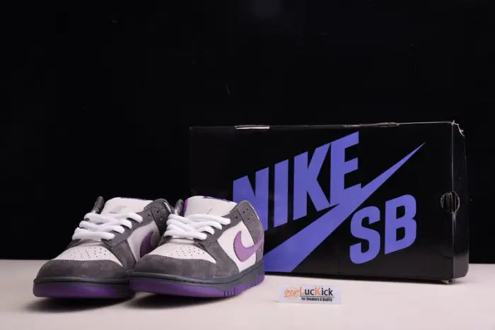 Nike Dunk SB Low Purple Pigeon 