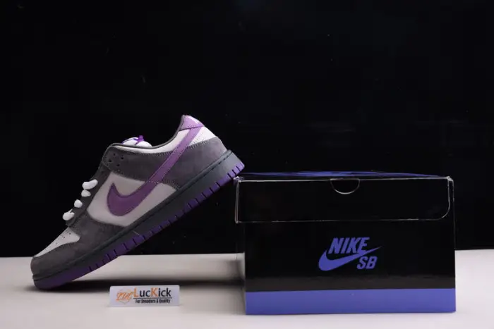 Nike Dunk SB Low Purple Pigeon 