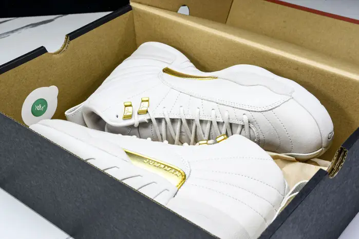 Air Jordan 12 “Phantom” 