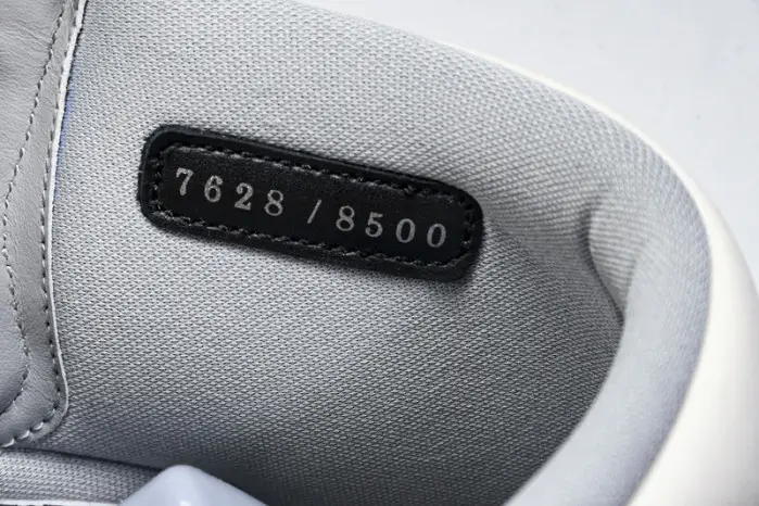 DIOR ×Air Jordan 1 High 