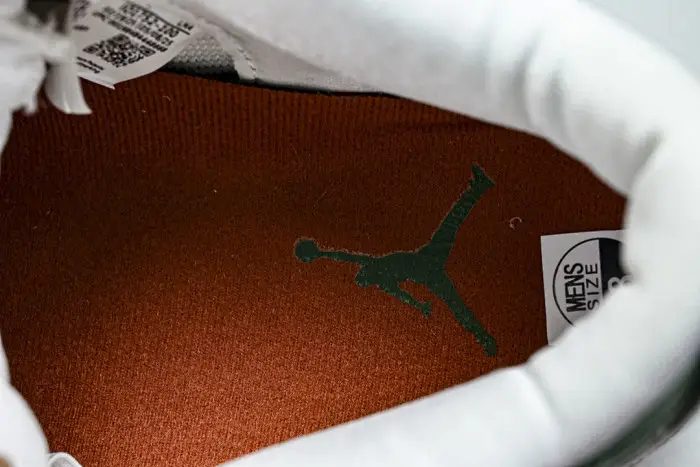 Air Jordan 3 Mexico "El Vuelo" 