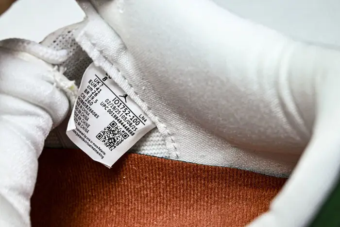 Air Jordan 3 Mexico "El Vuelo" 
