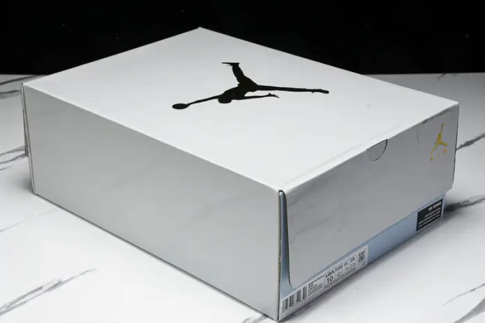 Air Jordan 6  “Paris“ 