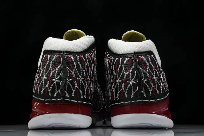 Titan x Air Jordan 23 