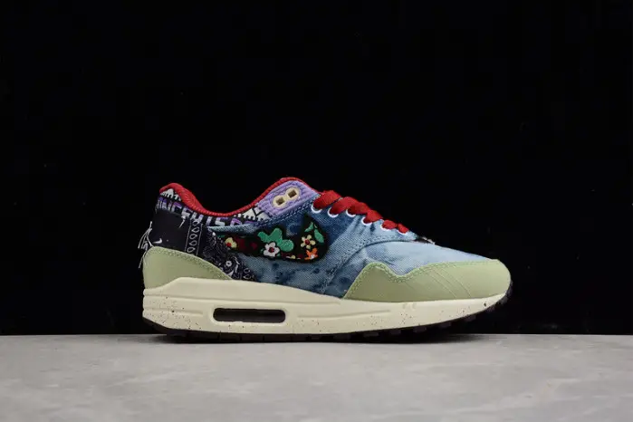 Nike Air Max 1 SP Concepts Mellow 