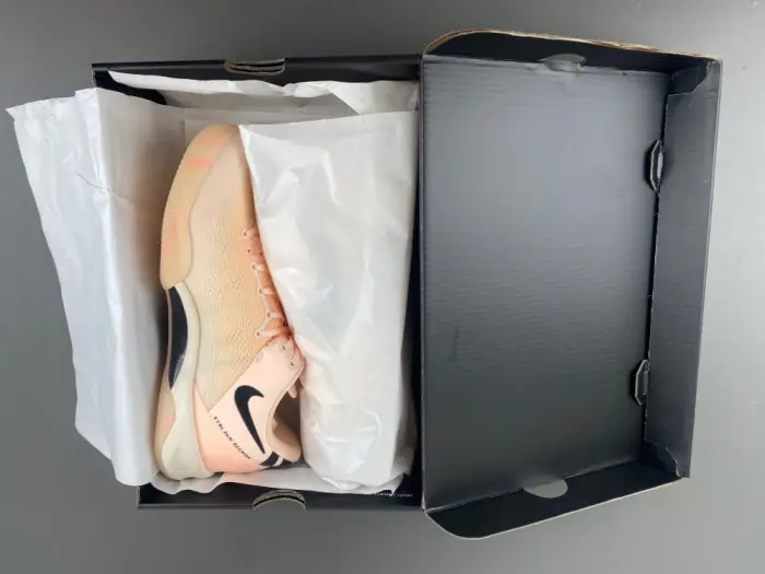 Nike  Kobe 8 Protro   PE EYBL 