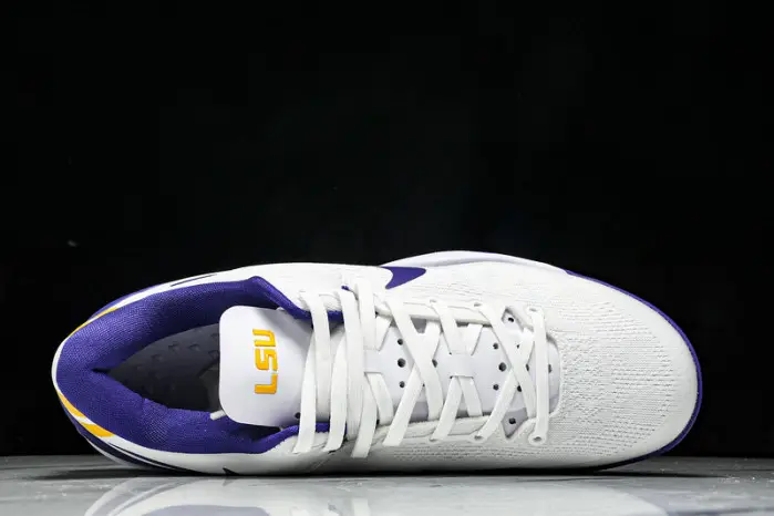 Nike  Kobe 8 Protro Whit Court Purple 