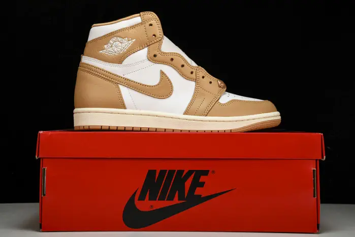 Air Jordan 1 High OG WMNS “Praline” 