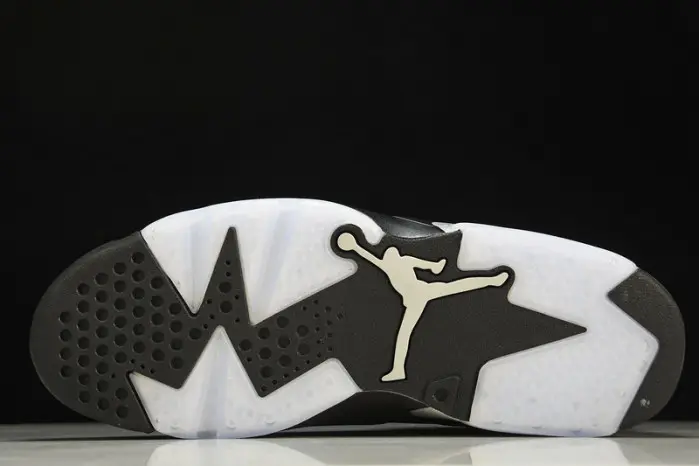 Air Jordan 6 Retro "Metallic Silver" 