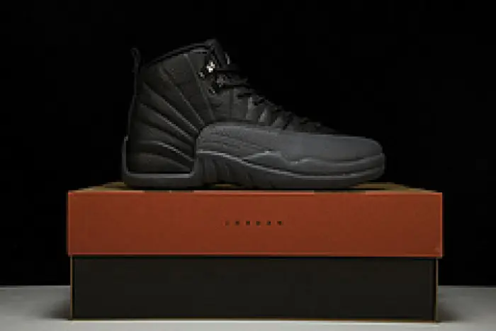 Air Jordan 12 