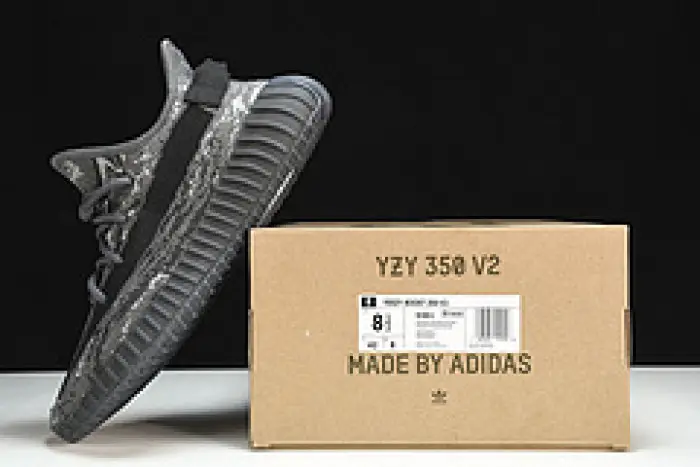 Yeezy Boost 350 