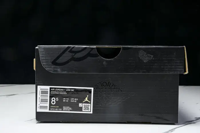 Jordan 1 Low SE “Dark Pony ” 