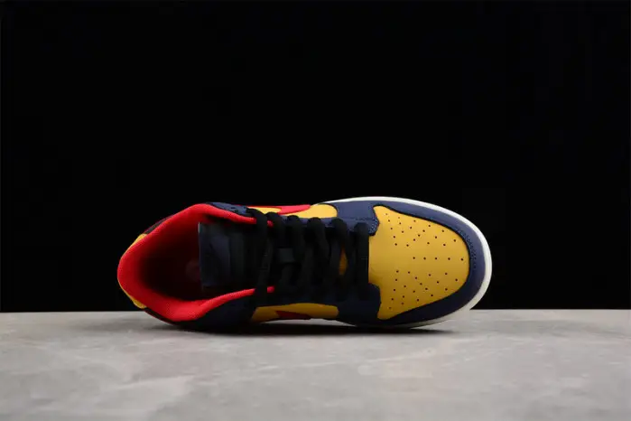 NIKE SB DUNK LOW 