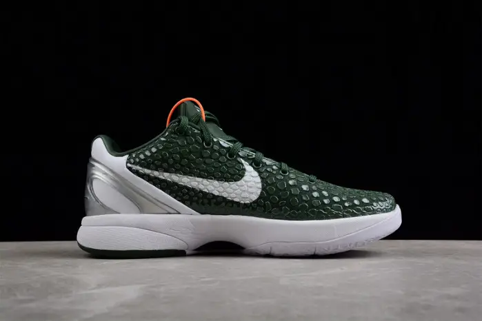 Nike Kobe VI Protro 6 