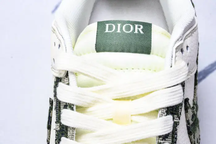 Nike SB Dunk Low & Dior 
