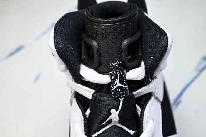 Air Jordan 6 Sport 