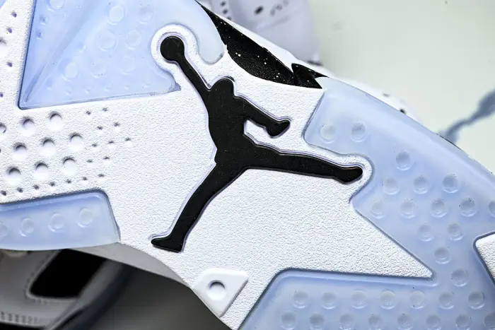 Air Jordan 6 Sport 