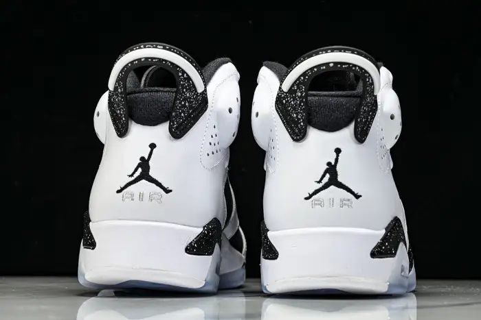 Air Jordan 6 Sport 
