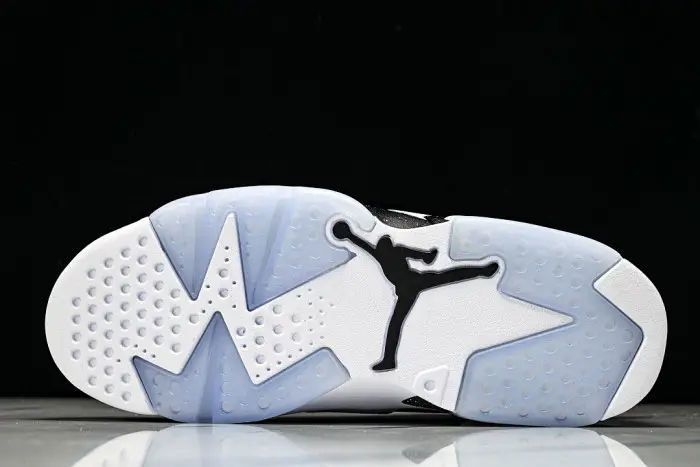 Air Jordan 6 Sport 