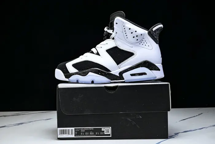 Air Jordan 6 Sport 