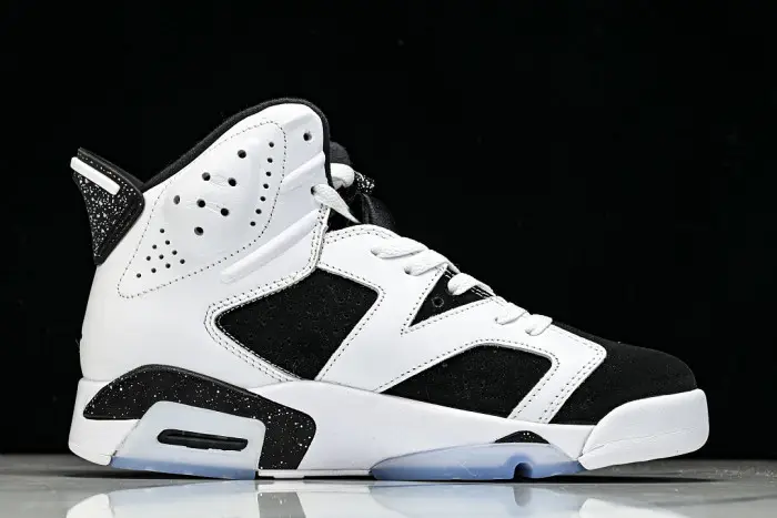 Air Jordan 6 Sport 
