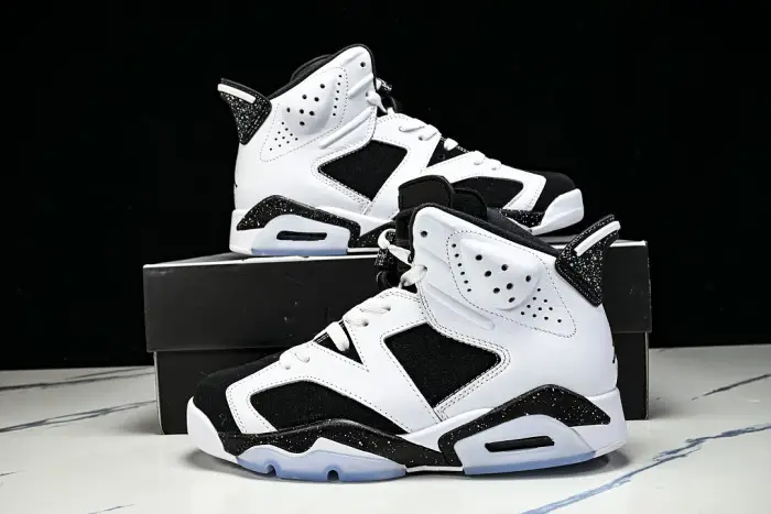 Air Jordan 6 Sport 