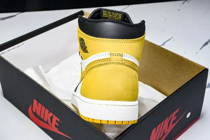 Air Jordan 1 High 