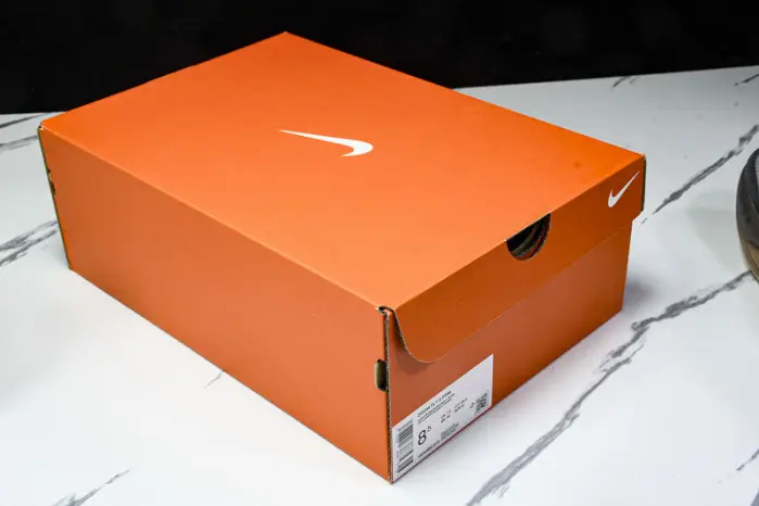 Nike Zoom Fly 6 Premium Light Bone Cave Stone 